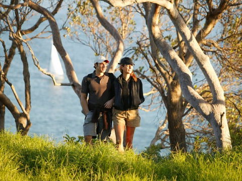 Manly To Spit Bridge Scenic Walkway - Darwin Tourism 2