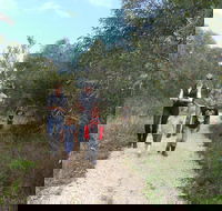 Meningie Lions Walking Trail - Darwin Tourism