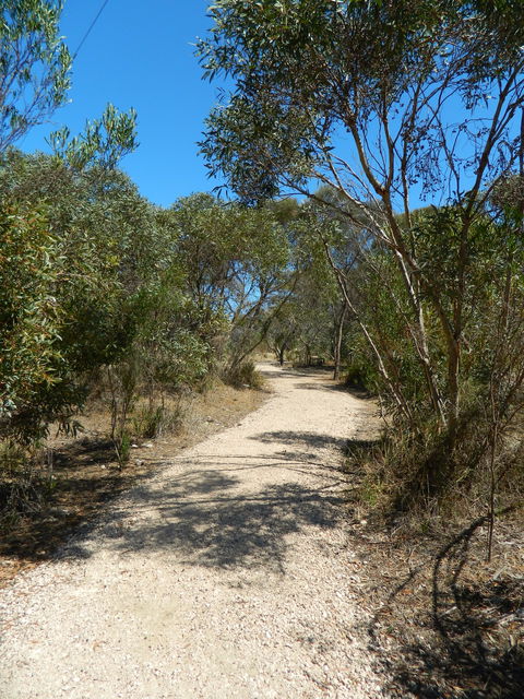 Meningie Lions Walking Trail - Darwin Tourism 2
