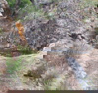 Mill-bullah Walking Track - Darwin Tourism