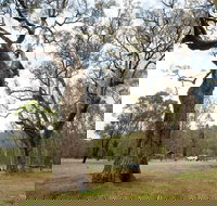 Moolarben Picnic Area - Darwin Tourism