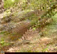 Mount Carnarvon Walking Track