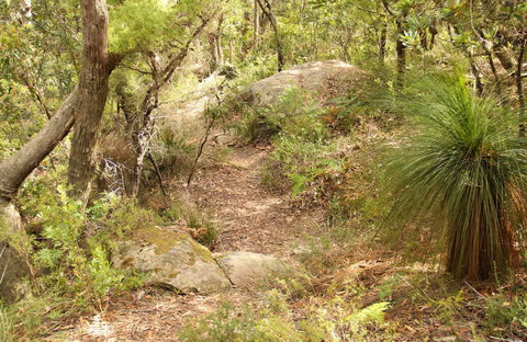 Mount Carnarvon Walking Track - Darwin Tourism 0