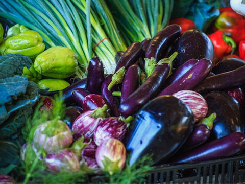 Murwillumbah Farmers' Market - Darwin Tourism 1