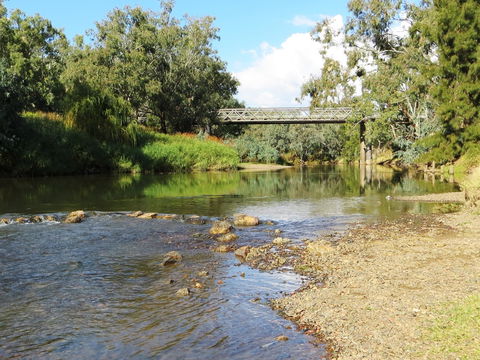 Namoi River And Woolshed Reserve - Darwin Tourism 0