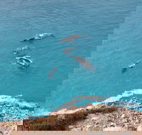 Nullarbor National Park - Darwin Tourism