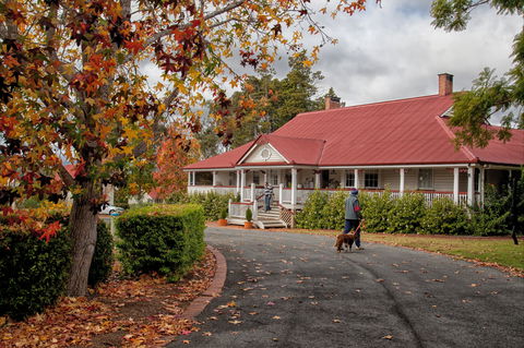 Ringsfield House, Nanango - Darwin Tourism 1