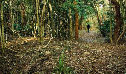 Sand Track Walk (north) - Darwin Tourism 0
