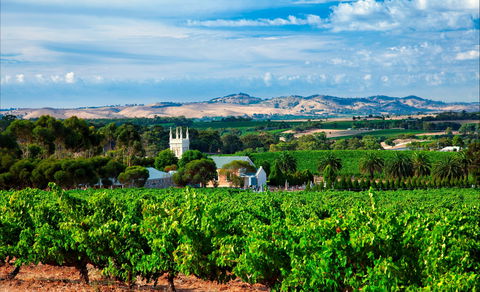 Seppeltsfield Road Barossa Valley - Darwin Tourism 1