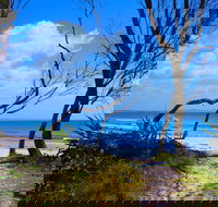 Shark Bay - Darwin Tourism