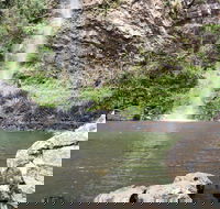 Twin Falls Circuit Springbrook National Park - Darwin Tourism