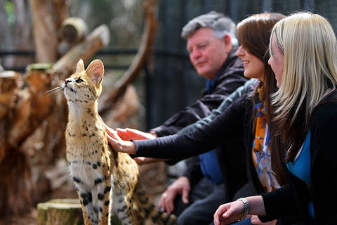 Werribee Open Range Zoo - Darwin Tourism 0
