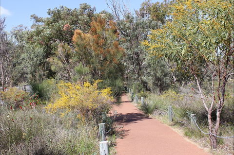 Wireless Hill Park - Darwin Tourism 1