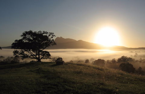 Wollumbin-Mount Warning National Park - Darwin Tourism 0