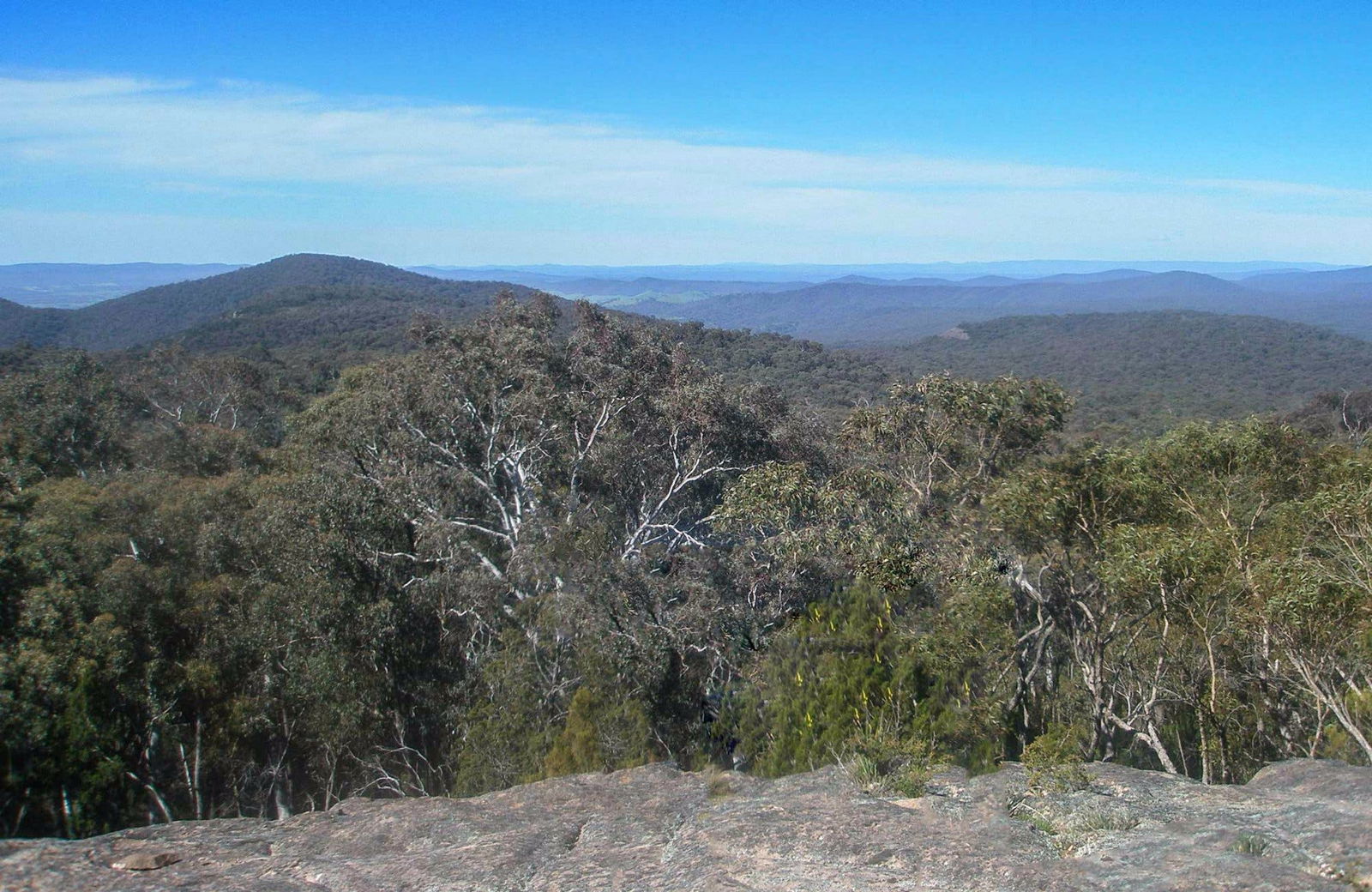 Wantagong NSW Darwin Tourism