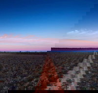 Yanga National Park - Darwin Tourism