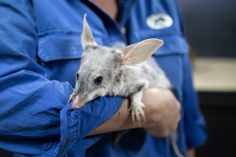 9 Day Outback Adventure - Darwin Tourism 0