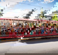 Bendigo Tramways Vintage Talking Tram - Darwin Tourism