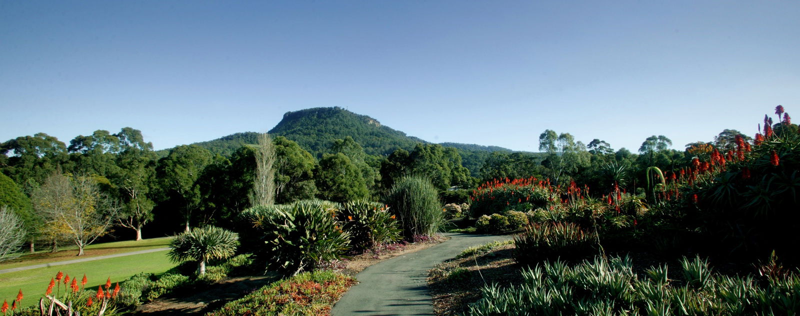 Keiraville NSW Darwin Tourism