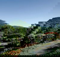 Botanic Garden Wollongong - Darwin Tourism