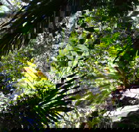 Byrrill Creek Walking Track - Darwin Tourism