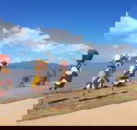 Cardwell Foreshore - Darwin Tourism