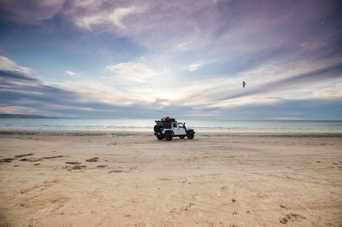 Coorong National Park - Darwin Tourism 0