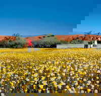 Coorow Farm Wildflower Trail - Darwin Tourism