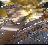 Evandale - Darwin Tourism