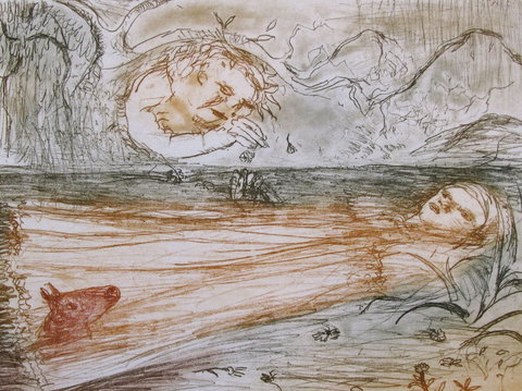 Falls Gallery - Darwin Tourism 0