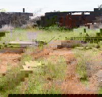 Ghans Bore No7 Govt Bore - Darwin Tourism