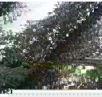 Henty Government Dam Nature Reserve - Darwin Tourism