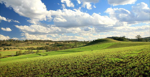 Hodgson Vale - Darwin Tourism 0