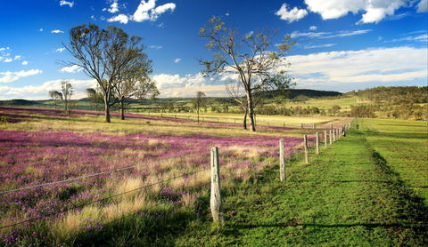 Hodgson Vale - Darwin Tourism 1