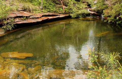 Hominy Creek Walking Track - Darwin Tourism 0