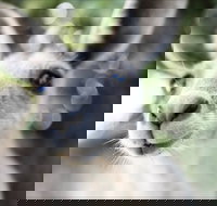 John Egan Pioneer Track - Darwin Tourism