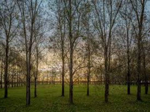 John Tucker Park - Darwin Tourism 1