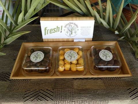 Julimar Date Garden - Darwin Tourism 1