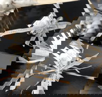 Label A - Darwin Tourism