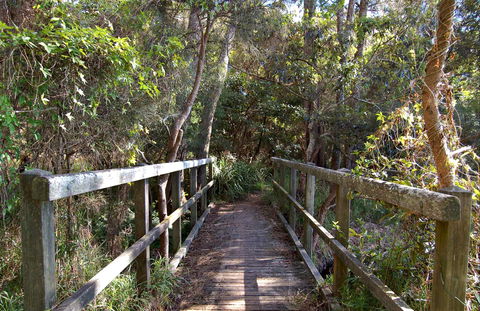 Lake Macquarie State Conservation Area - Darwin Tourism 1