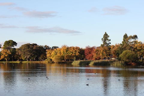 Lake Weeroona - Darwin Tourism 0