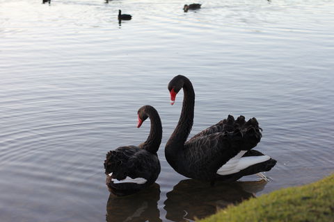 Lake Weeroona - Darwin Tourism 1