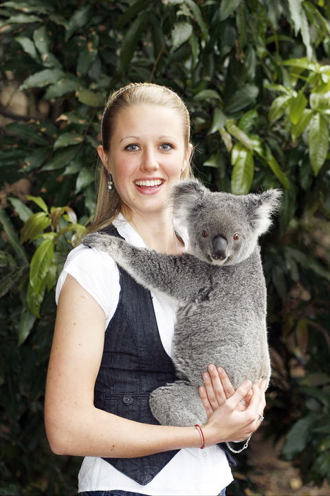 Lone Pine Koala Sanctuary - Darwin Tourism 1