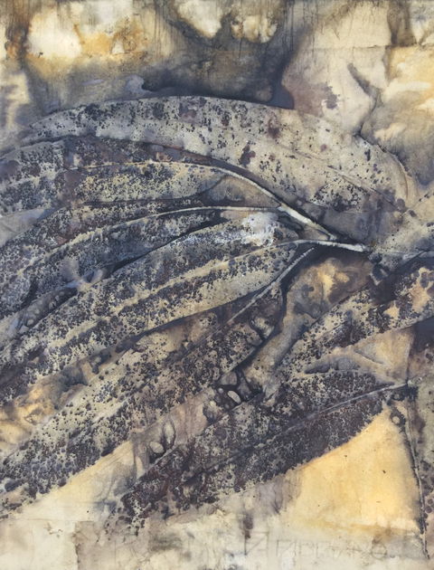 Lyrebirds Lair Gallery And Gifts - Darwin Tourism 1