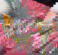 Mokoan Rest Stop Northbound - Darwin Tourism