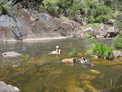 Mount Boss State Forest - Darwin Tourism 0