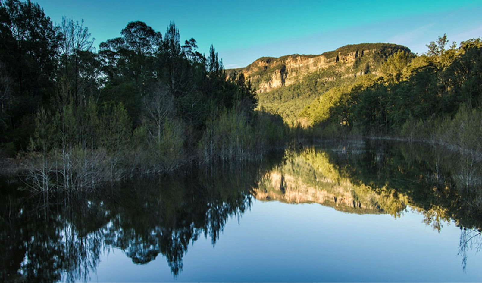 Wattle Ridge NSW Darwin Tourism