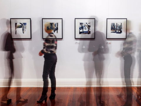 Northern Rivers Community Gallery - Darwin Tourism 0