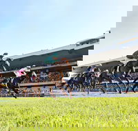 Rosehill Gardens Racecourse - Darwin Tourism