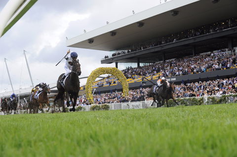 Rosehill Gardens Racecourse - Darwin Tourism 1